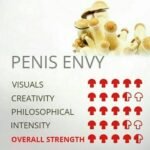 PENIS ENVY SHROOM