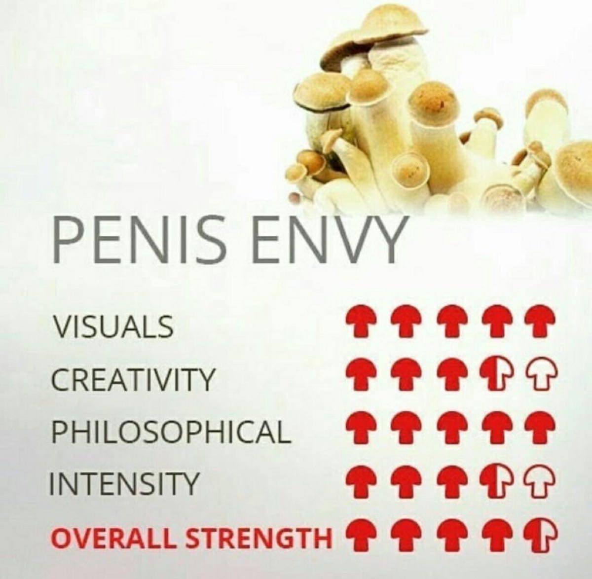 PENIS ENVY SHROOM