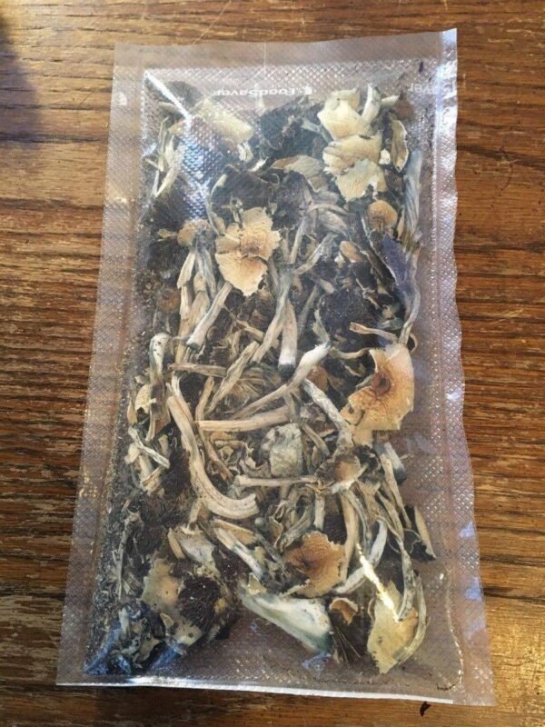 AMAZONIAN SHROOM🍄
