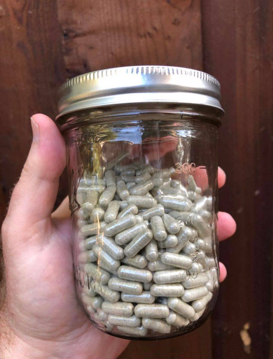 𝐏𝐬𝐲𝐜𝐡𝐞𝐥𝐢𝐜𝐬 𝐌𝐮𝐬𝐡𝐫𝗼𝗼𝗺 𝐌𝐢𝐜𝐫𝗼𝐝𝗼𝐬𝐞