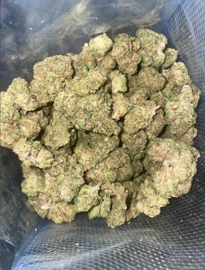 Jelly Biscuit
