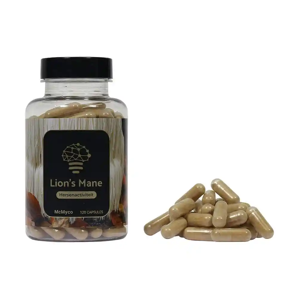 Lion’s Mane Hericium Erinaceus