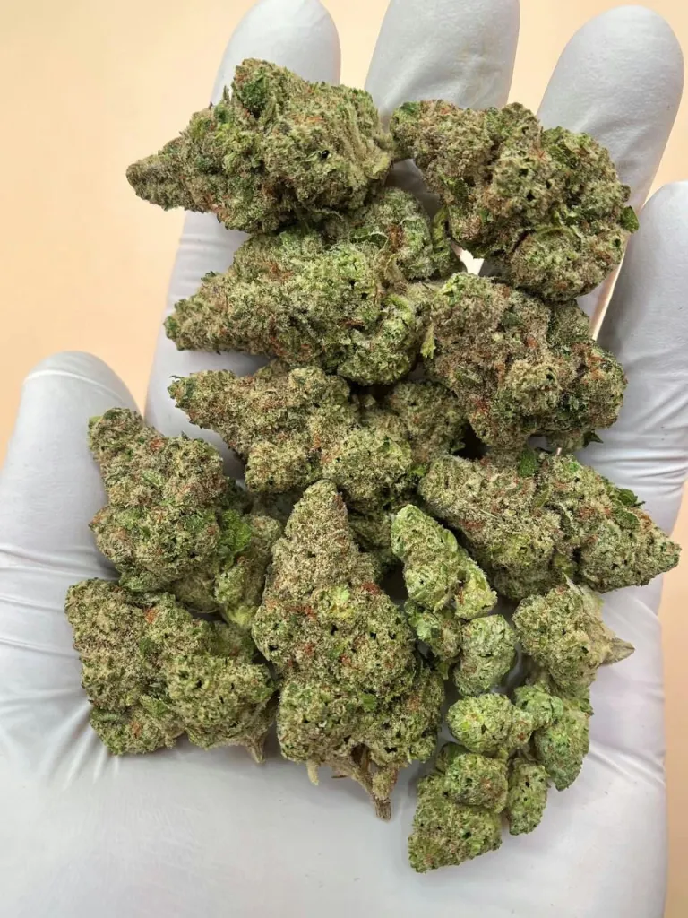 Papaya Bomb Hybrid Strain 31% THC