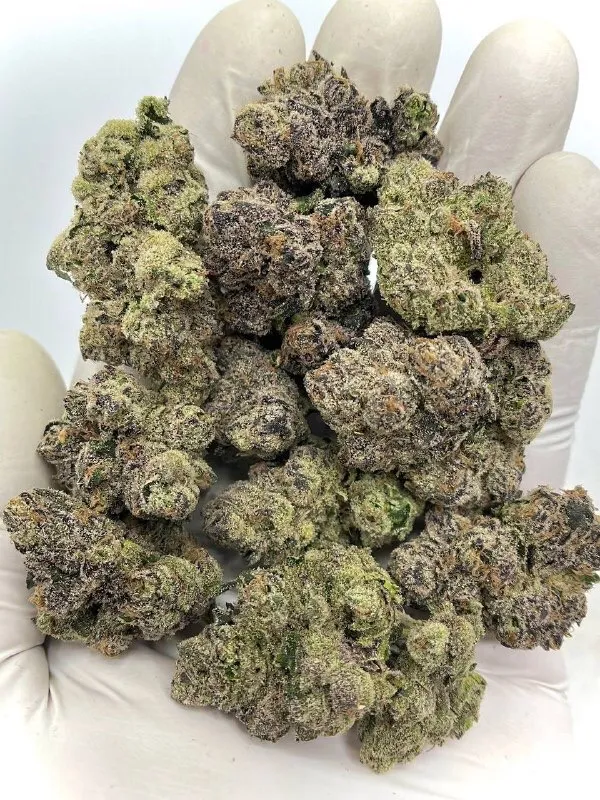 Wazabi Potent Hybrid Strain 20-33% THC