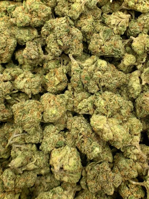 Super Juice Hybrid Strain 25-30% THC