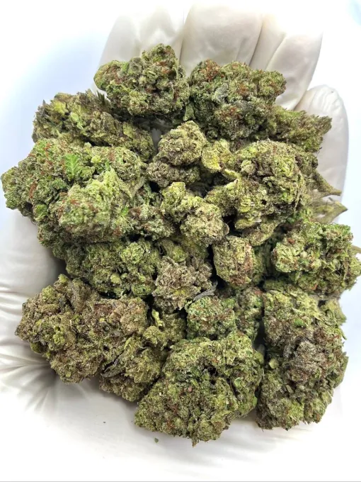 Joker’s Candy Hybrid Strain 27–29% THC.