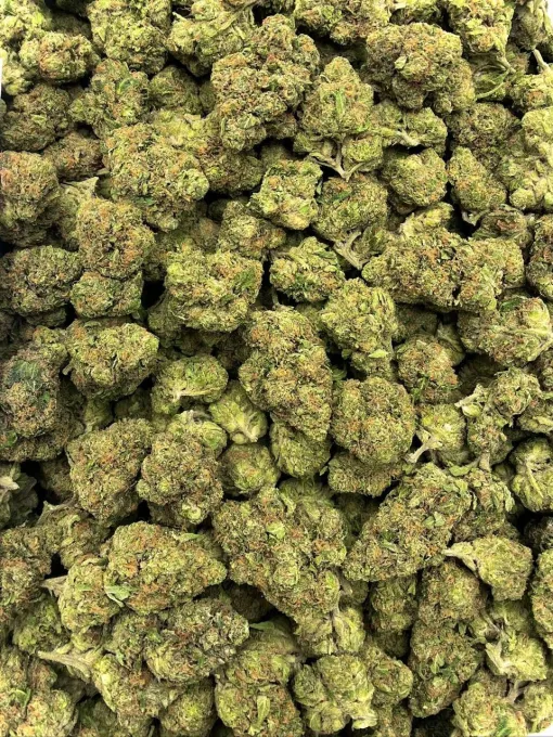Laughing Gas Hybrid Cannabis Strain THC 21-24%