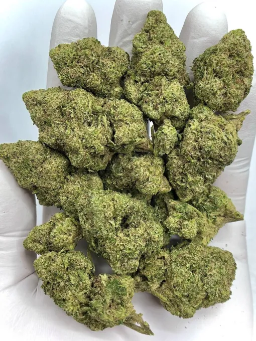 Pink Certz Cannabis Strain 14% to 24%.