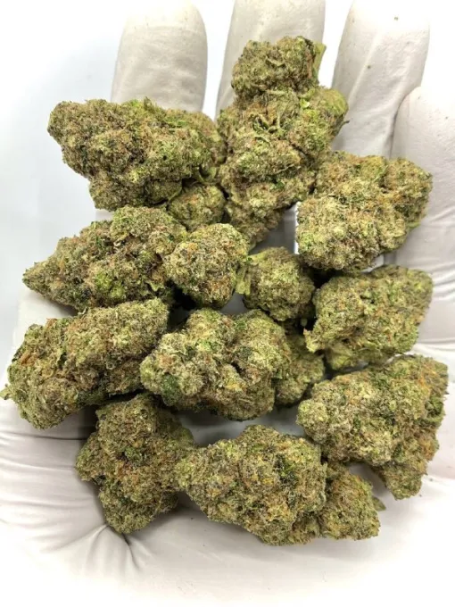 Bubble Bath Indica Dominant Hybrid Strain THC 21% to 28%