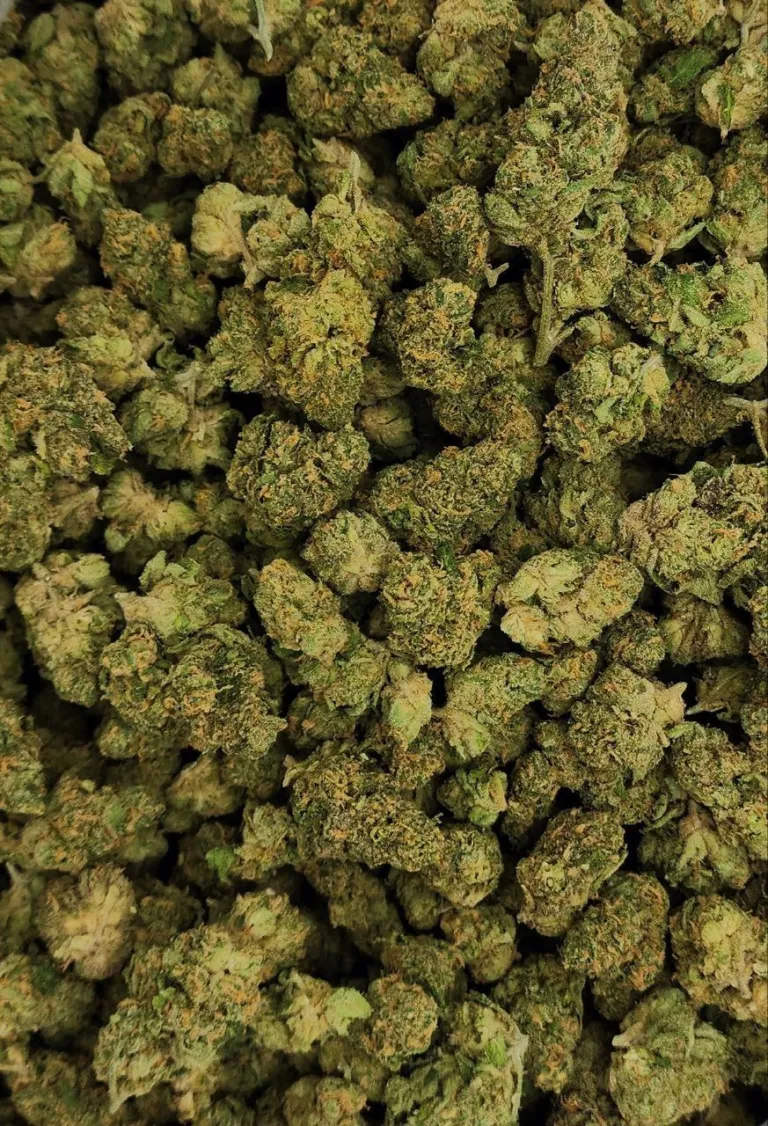 Yellow Mermaid Sativa Dominant Hybrid Strain 23-28% THC.