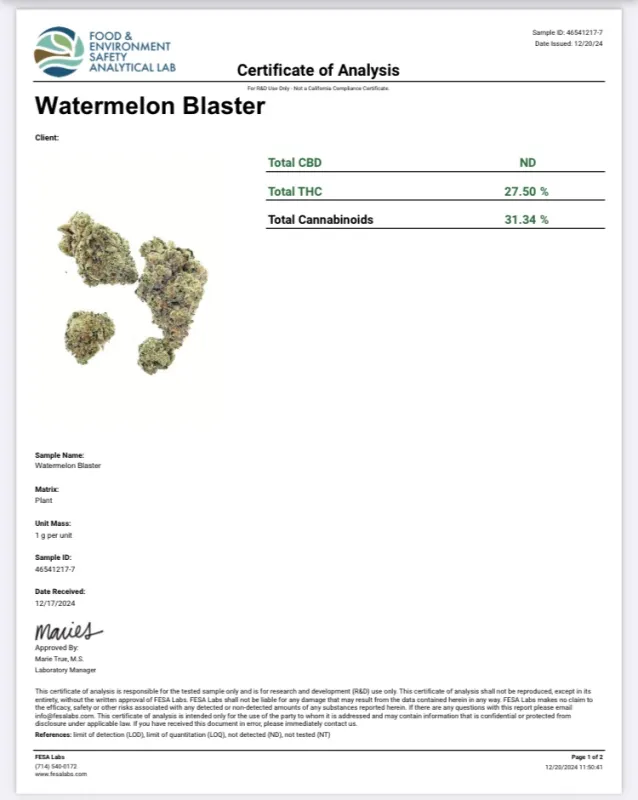 Watermelon Blaster Indica Dominant Hybrid 20-29% THC