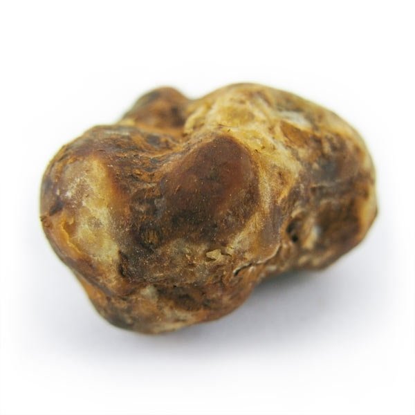Psilocybe Pajaritos Truffles