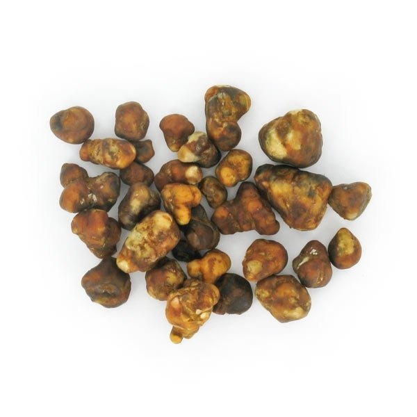 Psilocybe Pajaritos Truffles